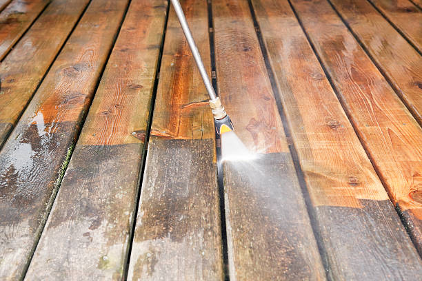 Best Dumpster Area Cleaning  in Lees Summit, MO
